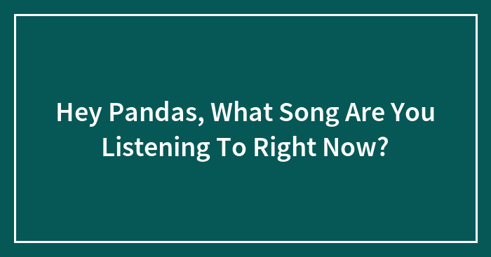 Hey Pandas, What Song Are You Listening To Right Now?