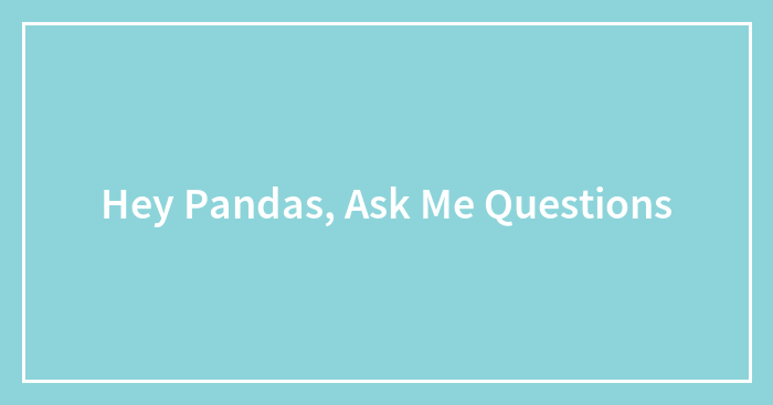 Hey Pandas, Ask Me Questions