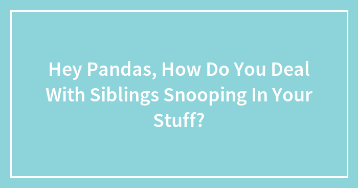 Hey Pandas, How Do You Deal With Siblings Snooping In Your Stuff?