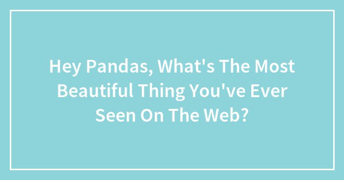 Hey Pandas, What’s The Most Beautiful Thing You’ve Ever Seen On The Web?