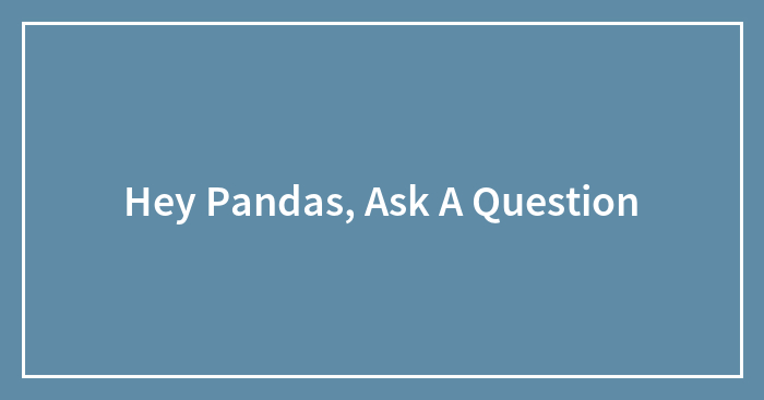 Hey Pandas, Ask A Question