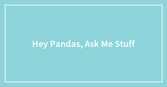 Hey Pandas, Ask Me Stuff