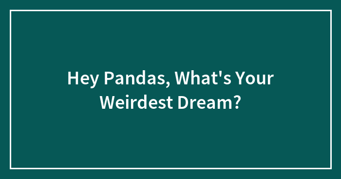 Hey Pandas, What’s Your Weirdest Dream?