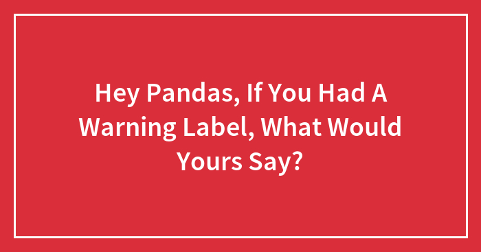 Hey Pandas, If You Had A Warning Label, What Would Yours Say?