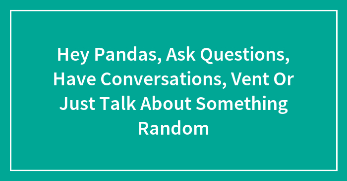 Hey Pandas, Ask Questions, Have Conversations, Vent Or Just Talk About Something Random