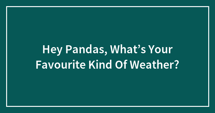 Hey Pandas, What’s Your Favourite Kind Of Weather?
