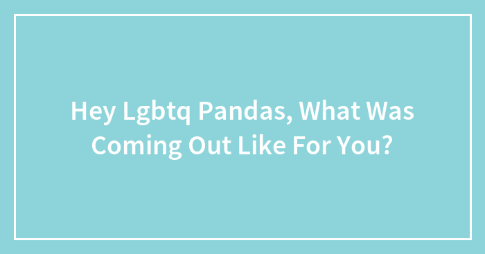 Hey Lgbtq Pandas, What Was Coming Out Like For You?