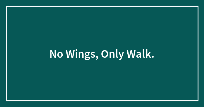 No Wings, Only Walk.