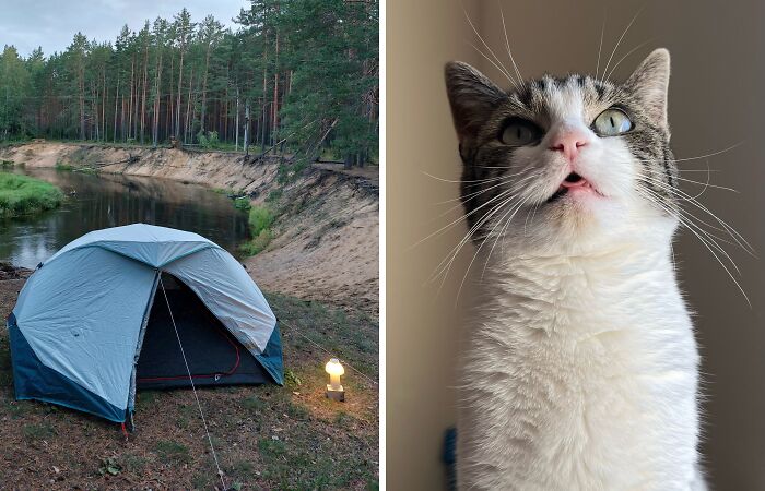 Hey Pandas, Share A Picture Of Your Perfect Weekend (Closed)