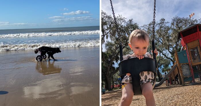 Hey Pandas, What Is Your Favorite Photo On Your Device? (Closed)