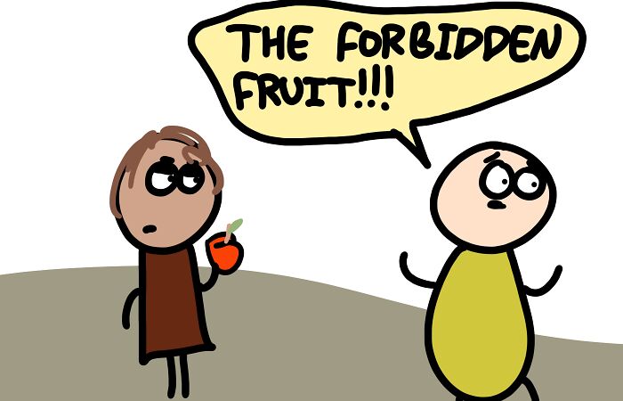 “Why An Apple A Day Keeps The Doctor Away?”: Here Are 11 Of My Favorite Answers