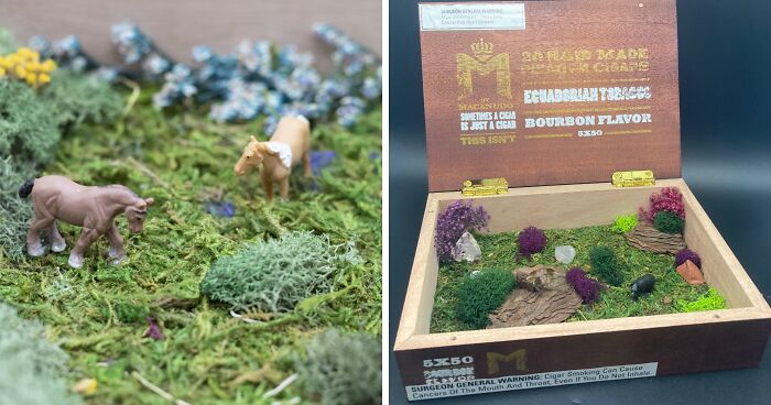 I Make Mini Worlds Out Of Real Flowers And Mosses (22 Pics)