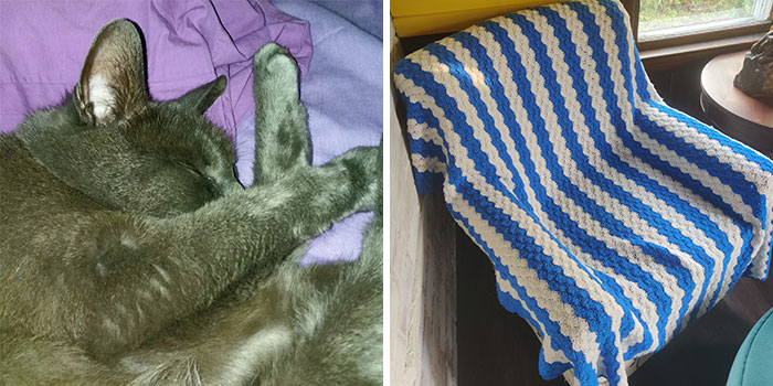 Hey Pandas, Share Something You Borrowed And Never Returned (Closed)