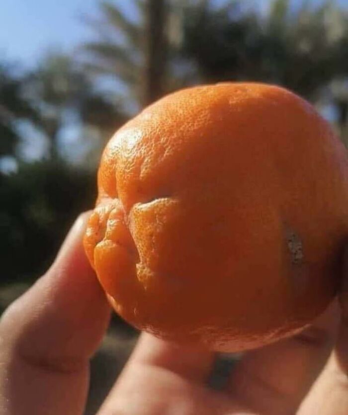 Cursed food: misshapen orange resembling a face, held up against a blurred natural background.