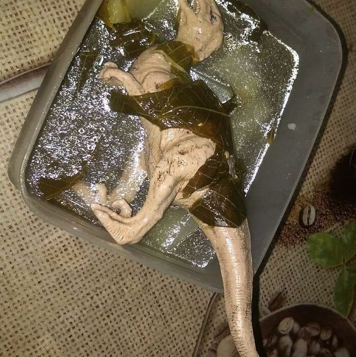 Cursed-Foodposting-Pics