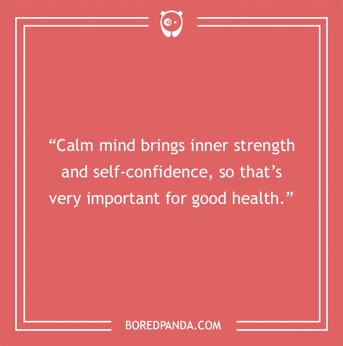 Dalai Lama quote about calm minds - 18