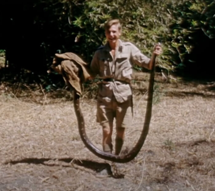 Nature Documentary Fans Are Excited To Hear 97 Y.O. David Attenborough Is Making A Return On BBC