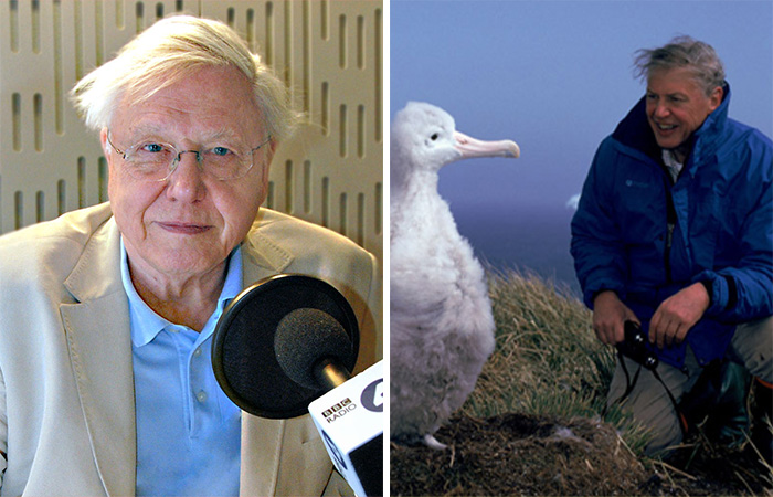 Nature Documentary Fans Are Excited To Hear 97 Y.O. David Attenborough Is Making A Return On BBC