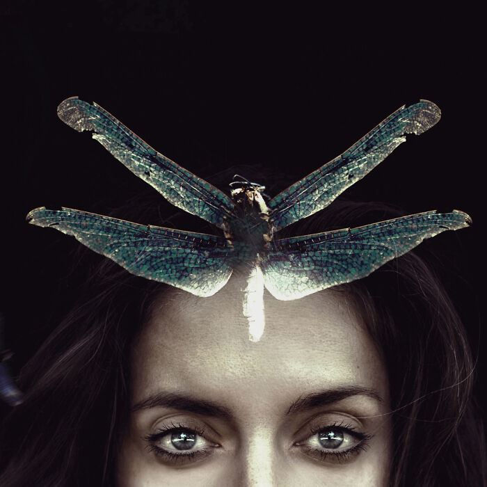 Believing I Could Immortalize Animals, I Included A Firefly In My Art