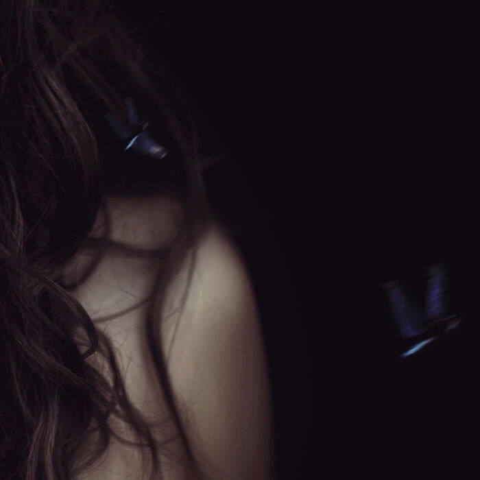 Believing I Could Immortalize Animals, I Included A Firefly In My Art