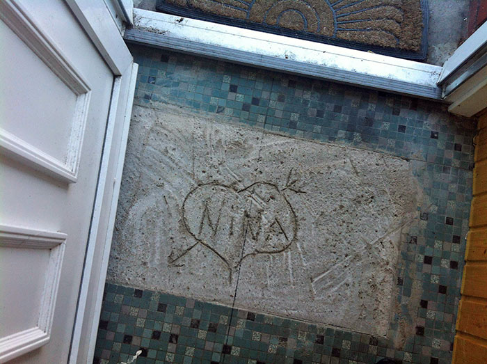 Mi casa tiene 50 años, quitamos el suelo y encontramos esto. Me encantaría conocerla y saber si sigue viva