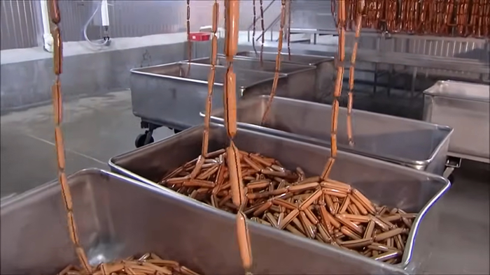 Sausages hanging and being processed in a factory, revealing disturbing behind-the-scenes secrets about popular meals.