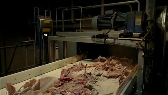 Meat processing conveyor belt in a factory revealing disturbing behind-the-scenes secrets of popular meals worldwide.