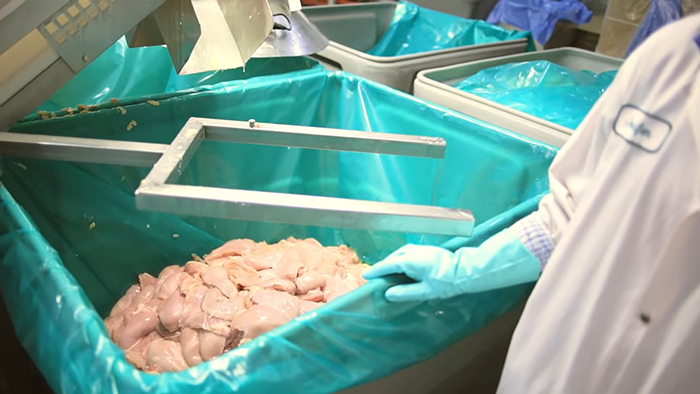 Processing raw chicken in a food factory with workers wearing gloves, revealing disturbing behind-the-scenes secrets.