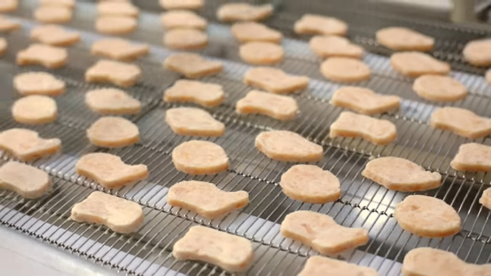 Chicken nuggets lined up on a conveyor belt in a food processing plant revealing disturbing behind-the-scenes secrets.