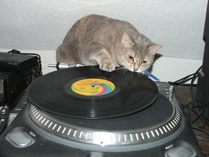 Wedding Guests And Participants Share 30 Instances When The Whole Celebration Went Straight To Hell