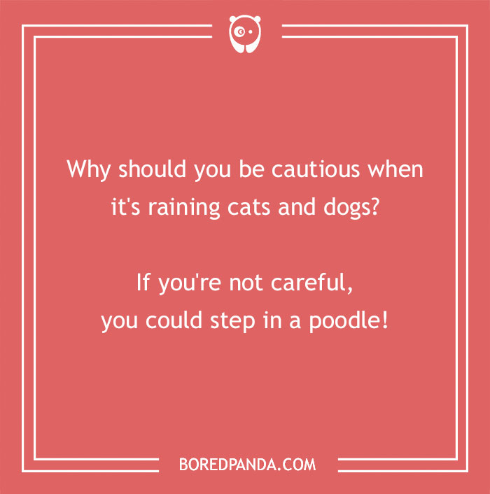 197 Funny Dog Puns to Honor the Pup-arazzi Worthy Furballs