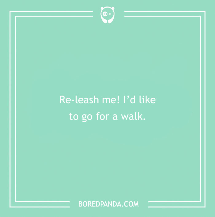 197 Funny Dog Puns to Honor the Pup-arazzi Worthy Furballs