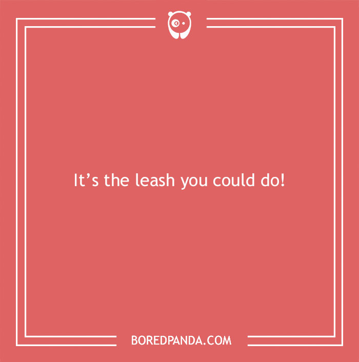 197 Funny Dog Puns to Honor the Pup-arazzi Worthy Furballs