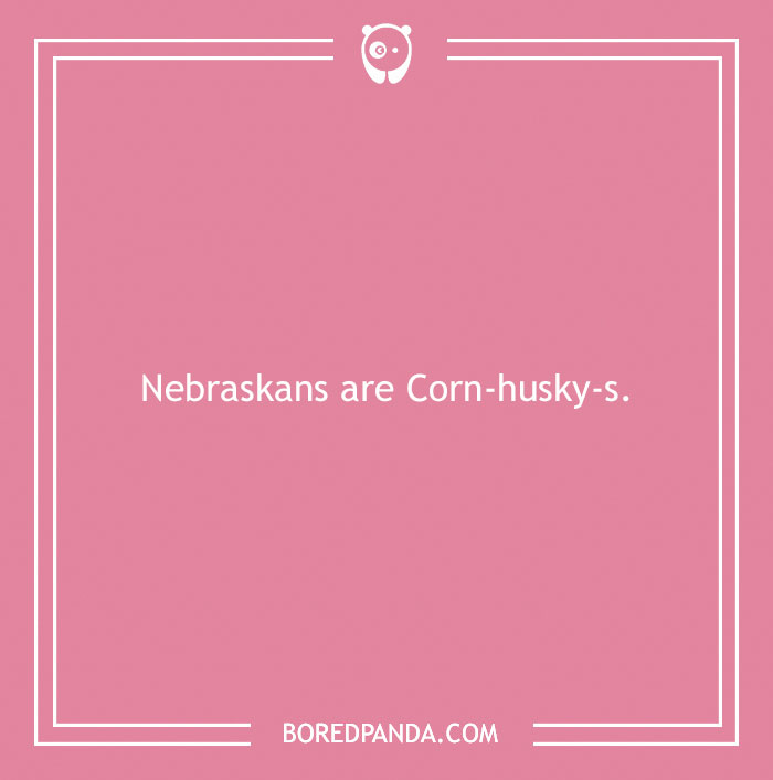 197 Funny Dog Puns to Honor the Pup-arazzi Worthy Furballs