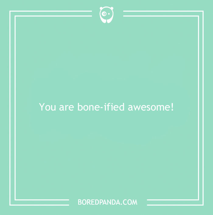 197 Funny Dog Puns to Honor the Pup-arazzi Worthy Furballs