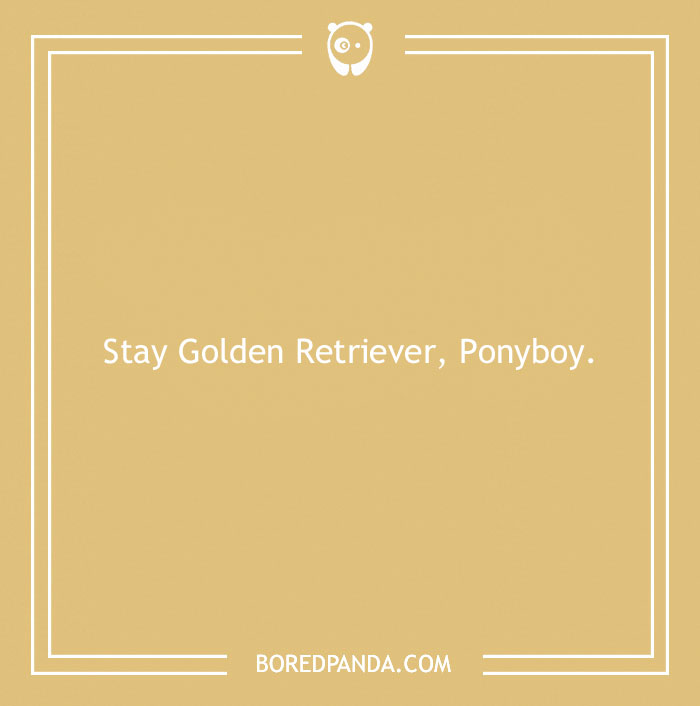 197 Funny Dog Puns to Honor the Pup-arazzi Worthy Furballs