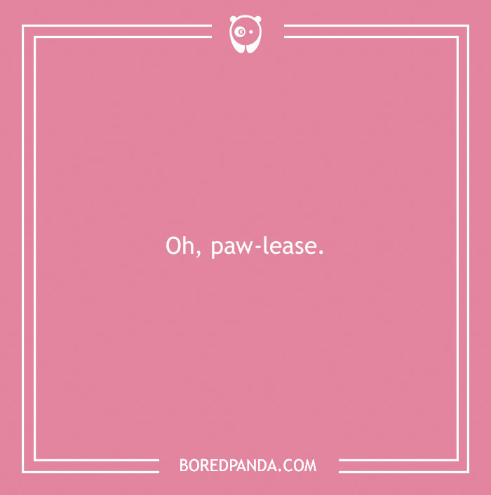 197 Funny Dog Puns to Honor the Pup-arazzi Worthy Furballs