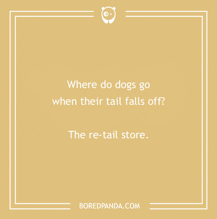 197 Funny Dog Puns to Honor the Pup-arazzi Worthy Furballs