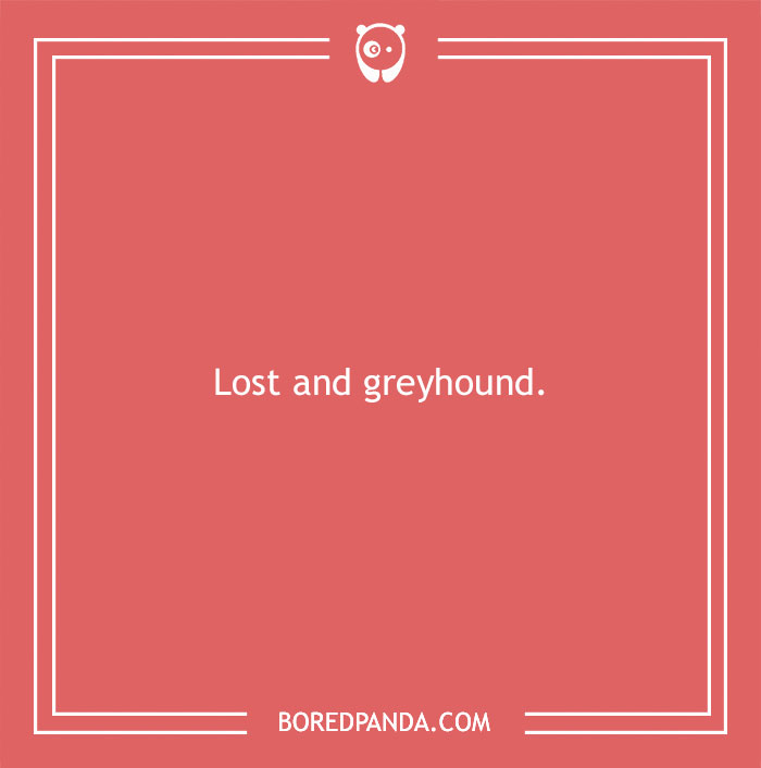 197 Funny Dog Puns to Honor the Pup-arazzi Worthy Furballs