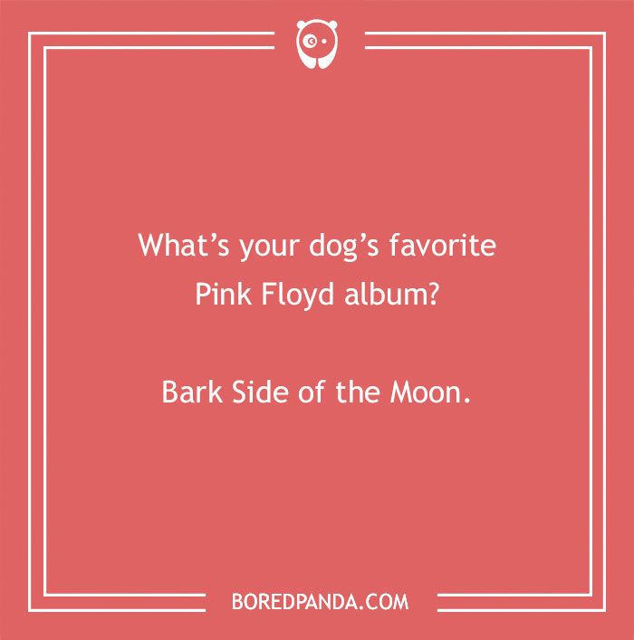 197 Funny Dog Puns to Honor the Pup-arazzi Worthy Furballs