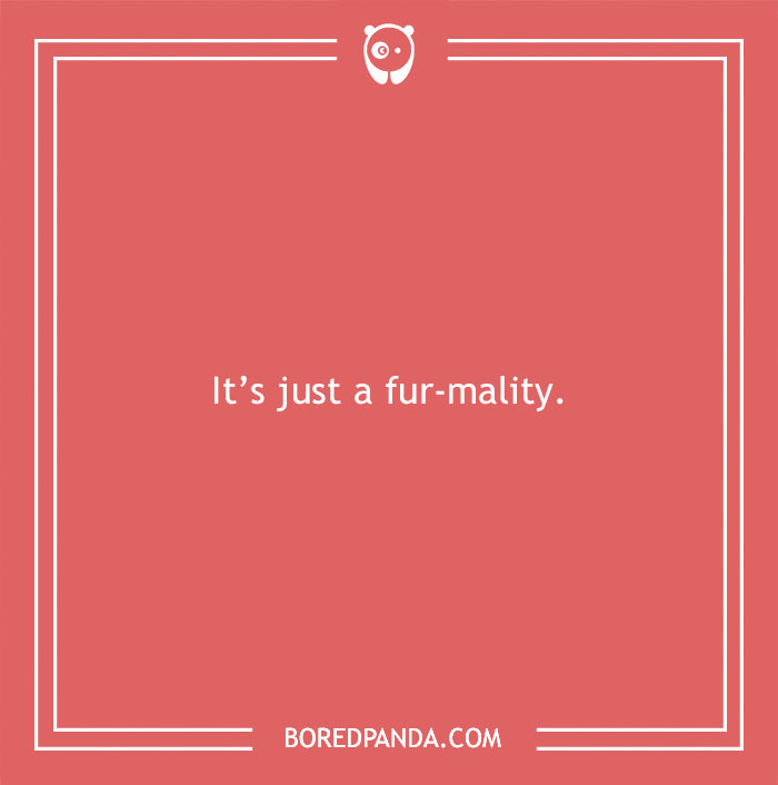 197 Funny Dog Puns to Honor the Pup-arazzi Worthy Furballs