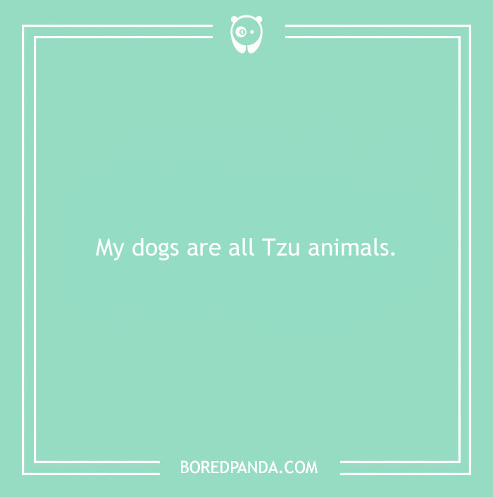 197 Funny Dog Puns to Honor the Pup-arazzi Worthy Furballs