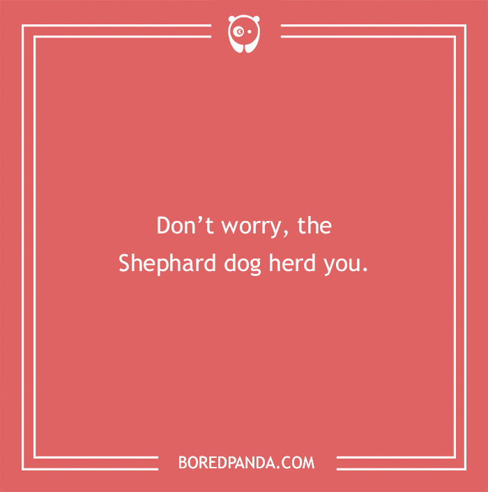 197 Funny Dog Puns to Honor the Pup-arazzi Worthy Furballs