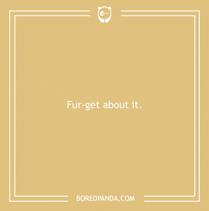 197 Funny Dog Puns to Honor the Pup-arazzi Worthy Furballs