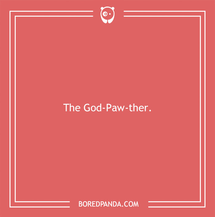 197 Funny Dog Puns to Honor the Pup-arazzi Worthy Furballs