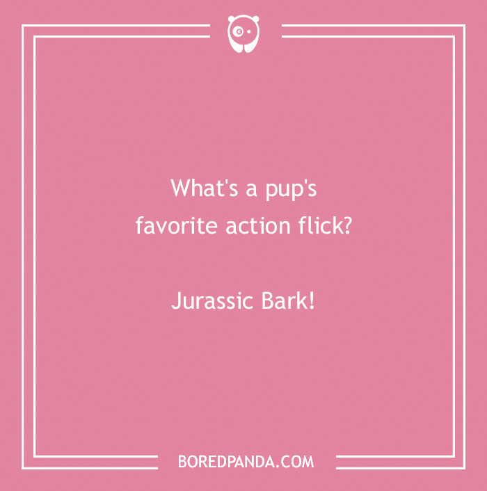 197 Funny Dog Puns to Honor the Pup-arazzi Worthy Furballs