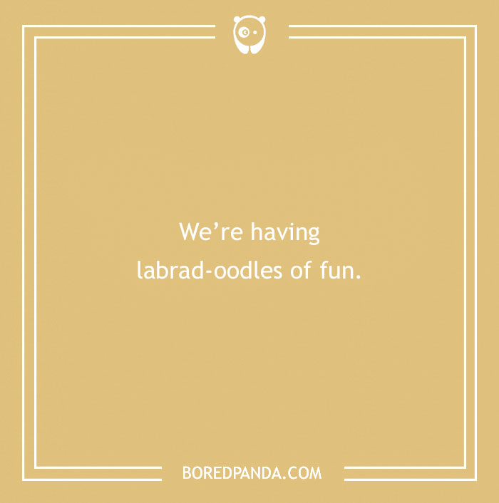 197 Funny Dog Puns to Honor the Pup-arazzi Worthy Furballs