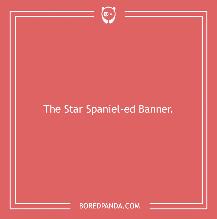 197 Funny Dog Puns to Honor the Pup-arazzi Worthy Furballs