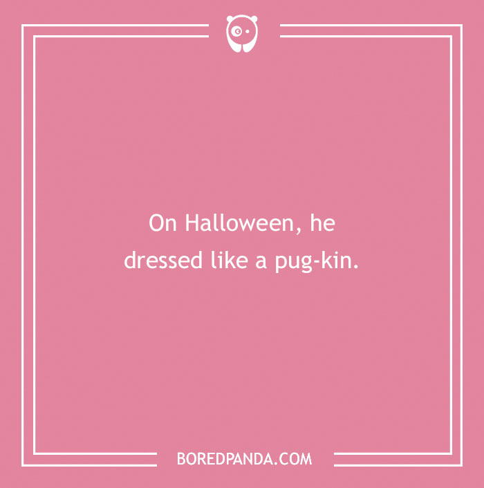 197 Funny Dog Puns to Honor the Pup-arazzi Worthy Furballs