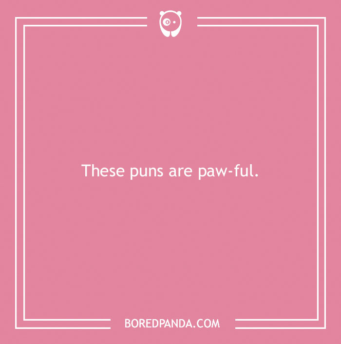 197 Funny Dog Puns to Honor the Pup-arazzi Worthy Furballs